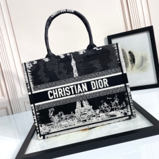 Christian Dior Shopping Bags